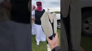 هدد طيور منغوليا 