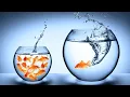 Channel