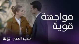 مسلسل شجر الحور الحلقة 56 نيكوفورس يتهم دروسو بالغيرة والتخطيط لإفساد زواجه 