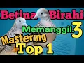 Download Lagu SUARA PERKUTUT BETINA MEMANGGIL 3, PANCINGAN TOP 1 PERKUTUT MALAS BUNYI