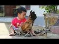 Download Lagu Anak Ayam Tek Kotek ll Lagu Anak Populer 2025