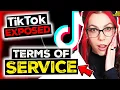 Lagu TikTok's Updated Terms Of Service Are SCARY | Lawyer Reacts