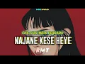 Download Lagu RMT CHA-CHA INDIA [NAJANE KSESE HEYE] Irwan Remixer_ REMIX TERBARU_2025 ❗️