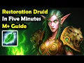 Restoration Druid 5-Minute Beginner s Guide for M