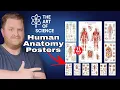 LEARN with these Human Anatomy Posters Great for Doctors Nurses EMTs and Medical Students