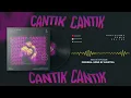 Download Lagu Tiara Andini \u0026 Arsy Widianto - Cantik (Koplo is Me Remix)