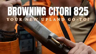 Is the Browning 825 Citori Worth the Upgrade for Upland Hunters