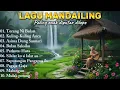 Download Lagu Jalan jalan ke danau siombun | lagu mandailing viral tahun 90an paling enak diperjalanan