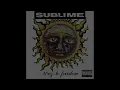 Sublime - We’re Only Gonna Die for Our Arrogance (Lyrics)