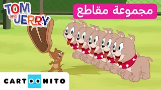 توم وجيري مجموعة من المقاطع المميزة لريك وجينجر كارتونيتو 