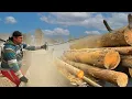 Download Lagu Dragging Giant Logs Into the Grinder Like It’s Nothing.