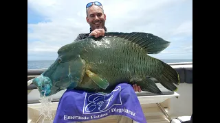 Emeraude Fishing -  Popping & Jigging - X-trem - Season 2020