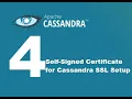 Self Signed Certs for Cassandra