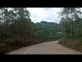 Download Lagu Jalan di loggin, pohon kayu untuk bahan kertas #viral #logging #jalanjalan