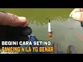 Download Lagu CARA SETTING PANCING NILA YG BENAR||agar selalu dapat banyak.