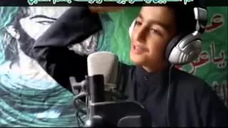 الرادود محمد جاسم الكعبي تفضل يا زاير 