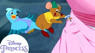 Gus Makes A Dress For Cinderella Disney Princess 