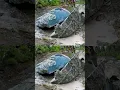 Download Lagu Breaking Open A 120 Ton Jade GIANT! #JadeFever #shorts