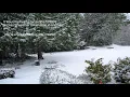 Weather Bug App
