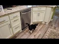 Midea 24 stainless steel dishwasher from Lowes -