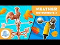 WEATHER VANES and ANEMOMETERS Weather Instruments for Kids Episode 2