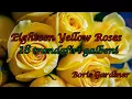 Eighteen Yellow Roses - Boris Gardiner (Lyrics + versuri romana) (Bobby Darin)