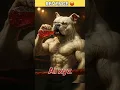 Download Lagu Black Dog 🐕‍🦺 vs White Dog 🐩Fight For Revenge 😡#cat #catfight #shorts #dogs