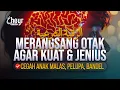 Download Lagu AYAT QURAN MERANGSANG OTAK AGAR CERDAS, KUAT DAN JENIUS - الرقية الشرعية