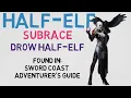 Race 2 Half-Elf - - Drow Half-Elf DnD 5E Races