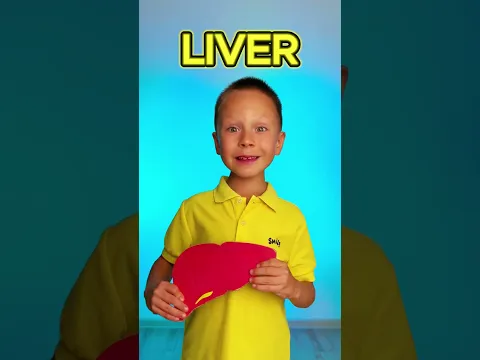 What Does Your Heart Love to Eat? ❤️ Food for Organs! 🍎🥕