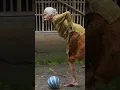 Download Lagu Nenek tendang bola #shorts #funny #lucu #videolucu