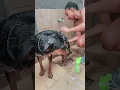Bath Time for my dog Schooch she loves and adores her bath time