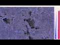 CPU Ray Tracing Large Particle Data with Balanced P-k-d Trees