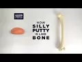 How Silly Putty is Like Bone UConn