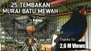 Download 25 TEMBAKAN PILIHAN, TERBAIK, SADIS, KASAR, MASTERAN MURAI BATU. MP3