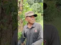 Download Lagu GARA GARA BOS ITUNGAN 