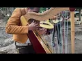 Mariachi Real Tamazula Mi Ranchito Arpa