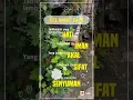 Download Lagu SELAMAT PAGI Aamiin !!!!