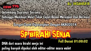 sp birahi senja original suara panggil walet yang dna nya paling banyak dipakai oleh editor suara