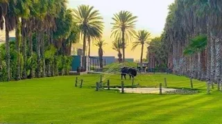 جلسة الرقية بعد ليلة رأس السنة الميلادية 212680714187 