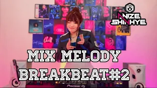 dj anize shinhye tere bina x stereo breakbeat 2 viral tiktok song 