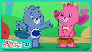 28 frambuemoras para todos ositos cari ositos aventuras en qui reme mucho