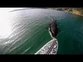 Lagu TOP TEN Killer Whale (Orca) Encounters Caught On Tape