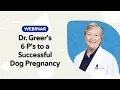 Dog Breeding Tips Dr Greer s 6 P s for a Successful and Healthy Dog Pregnancy