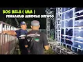 Lagu Bos IMA PRODUCTION penasaran dg MINIDRAG BREWOG, Penuh misteri ‼️