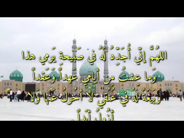⁣اللهُمَّ إنّي أُجَدِّدُ لَهُ في صَبيحةِ يَومي هذا وَما عِشتُ مِن أيامي