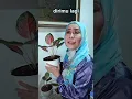 Download Lagu Kau Bukan Anakku Lagi 😍😍😍
