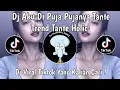 DJ AKU DI PUJA PUJANYA TANTE TREND TANTE HOLIC VIRAL TIKTOK TERBARU 2025 YANG KALIAN CARI !