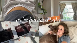 plot twist - we re pregnant telling our family catching up answering all of your questions