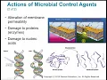 2117 Chapter 7 - Control of Microbial Growth